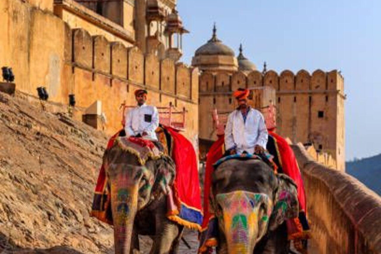 Jaipur: Antiguo y Nuevo Jaipur Tour de la ciudad de día completo en coche+guía