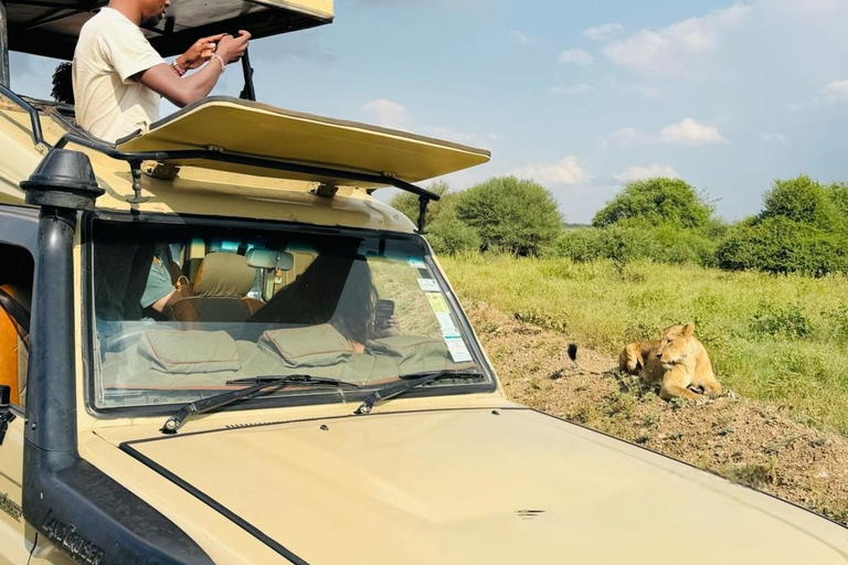 Parque Nacional de Nairobi Privado: Excursão de meio dia com safáriParque Nacional de Nairobi: Tour particular em van com teto aberto