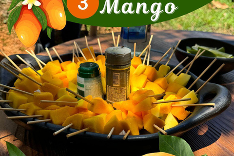 Medellin: Coffee and fruit tour