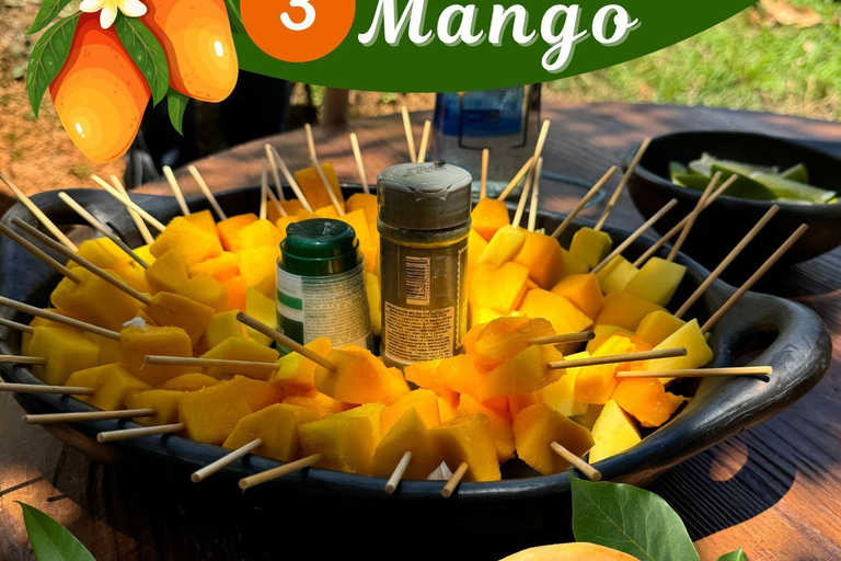 Medellin: Coffee and fruit tour