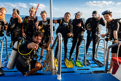 Khao Lak: Similan and Surin Daytrip 2 dives + Hotel Transfer Friday Option — Richelieu Rock