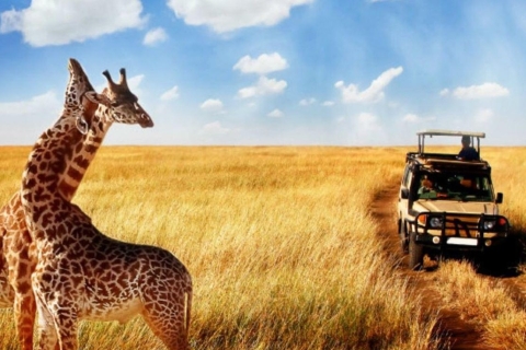 3 Day Hluhluwe & Isimangaliso Wetlands Pk Tour from Durban
