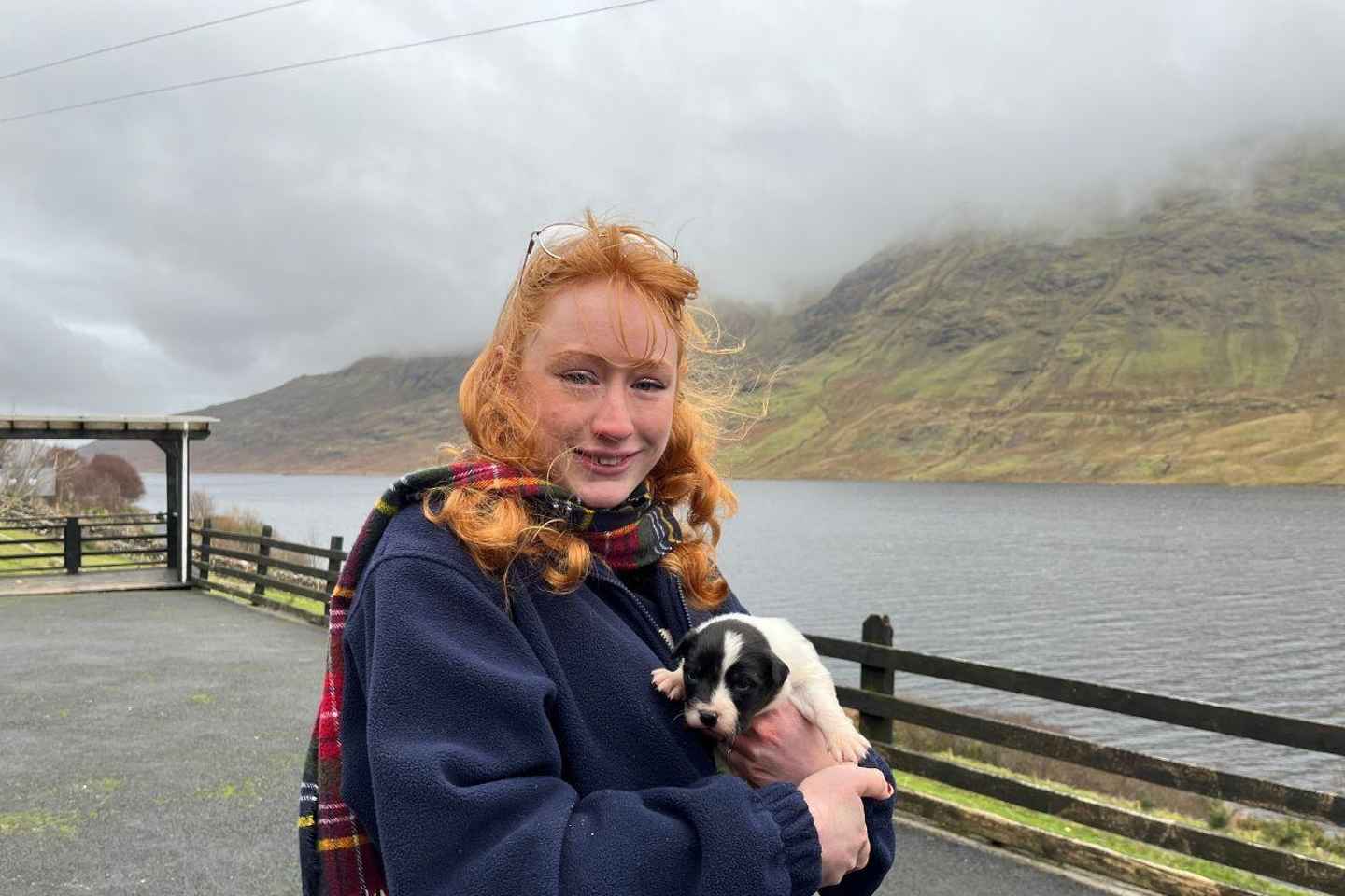 探索戈尔韦：康尼马拉、牧羊犬秀与古堡之旅