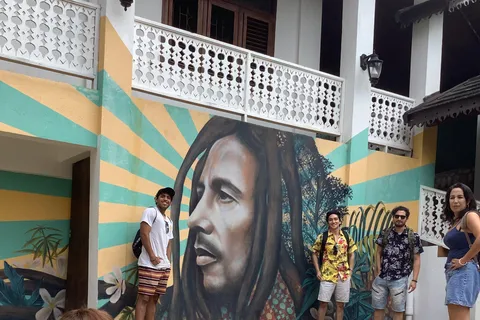 Ocho Rios: Museu Bob Marley e visita guiada a Nine Mile