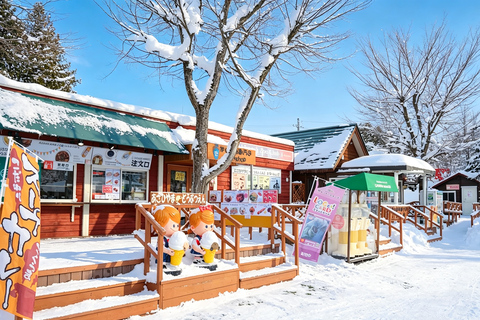 Sapporo: Asahiyama Zoo, Blue Pond & Chiyoda Farm Day Tour Private Sightseeing Tours