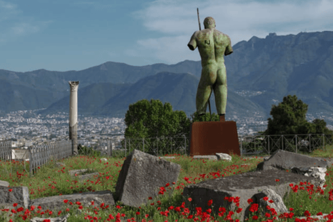 From Naples: Guided Walking Tour of Pompeii with entrance ticket and trainGuided tour in Spanish