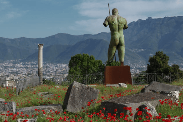 From Naples: Guided Walking Tour of Pompeii with entrance ticket and trainGuided tour in Spanish