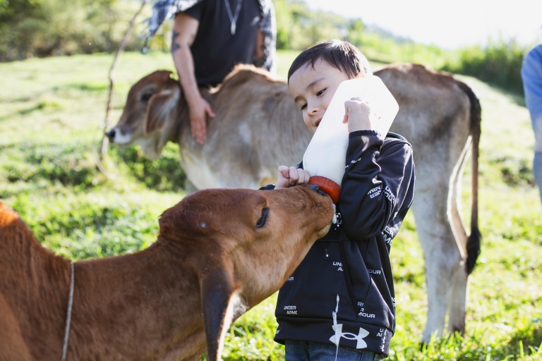 Esto es Colombia: Cultura, comida local, vacas y caballos