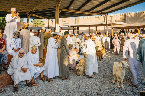 Escursione privata di un giorno a Nizwa e Jabal Shams (Grand Canyon)