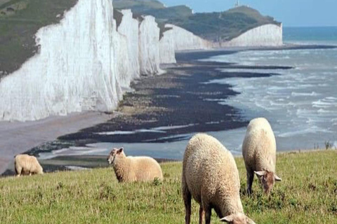 Luton: Seven Sisters Private Day Trip