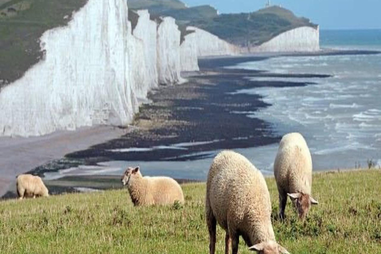 Luton: Seven Sisters Private Day Trip