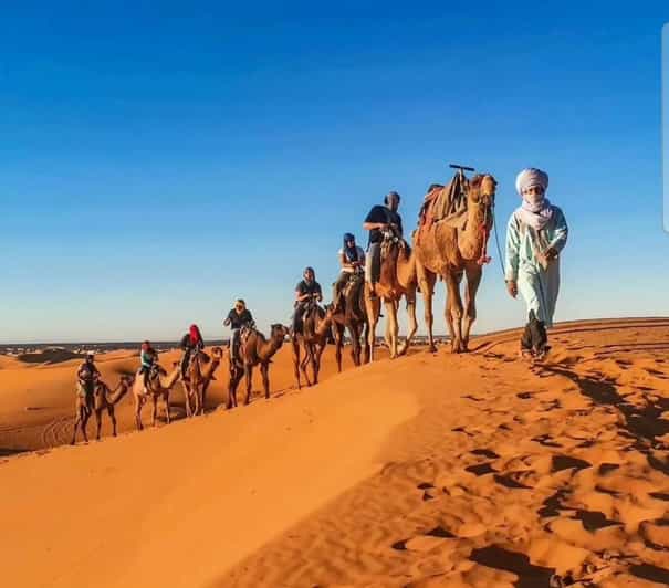 3 jours dans le désert de Merzouga : balade à dos de chameau et campement privé - dromadaire