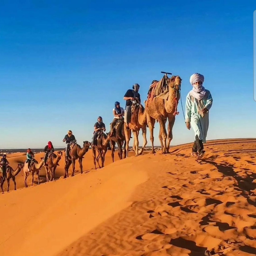 3 jours dans le désert de Merzouga : balade à dos de chameau et campement privé
