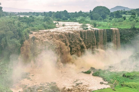 Ethiopia: 5-Day Ultimate Safari Expedition Guided Tour