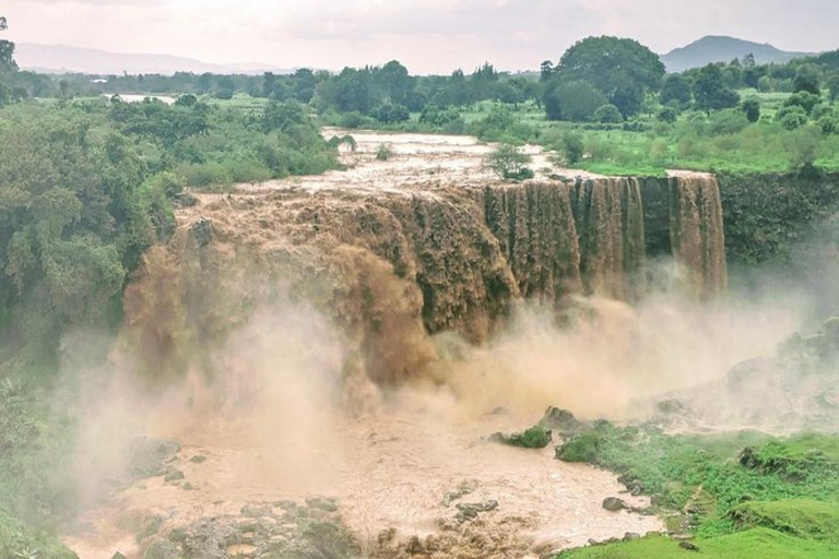 Ethiopia: 5-Day Ultimate Safari Expedition Guided Tour