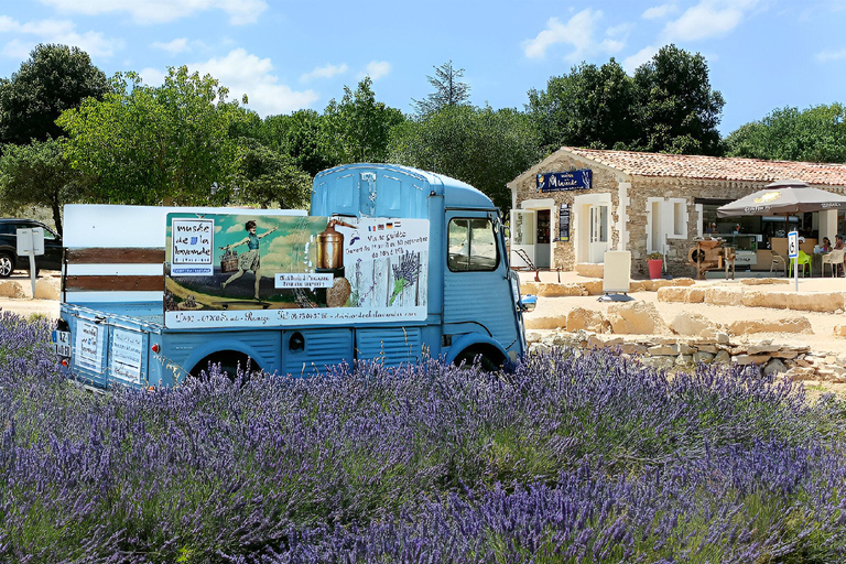 Lavande Guided Tour And Live Distillation