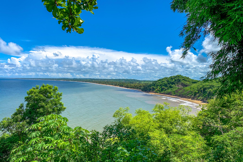 Tobago: Island Circle