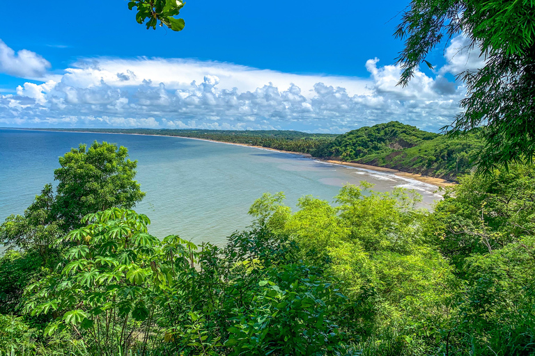 Tobago: Island Circle