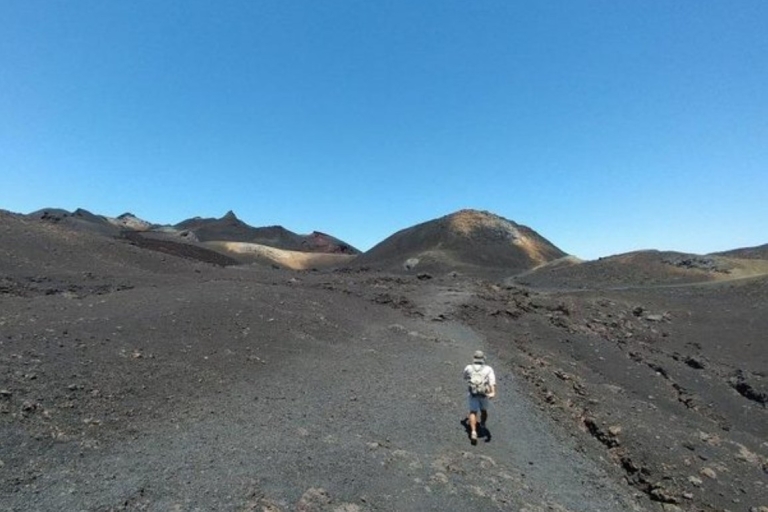 Walking Tour to Sierra Negra volcano and Chico Volcano