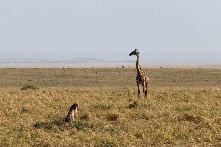 Diani/Mombasa: 2 Days to Tsavo East & Tsavo West with meals