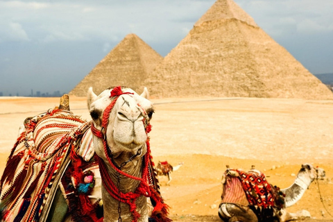 Egypt Tour From Dubai: Cairo, Alexandria &amp; Nile Cruise 8DaysIncluding International flights