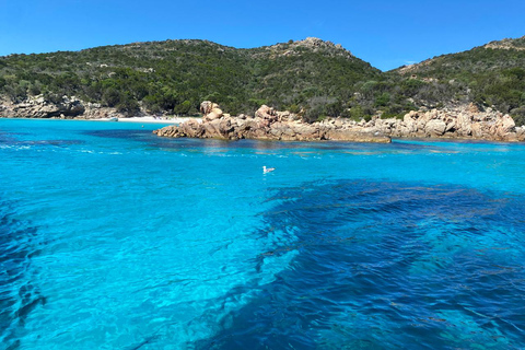 La Maddalena Archipelago: Exclusive tour in a luxury rubber dinghy. La Maddalena Archipelago: EXCLUSIVE tour in a luxury dinghy.