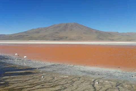 Salar de Uyuni 3D/2N Shared Tour, Spanish Guide