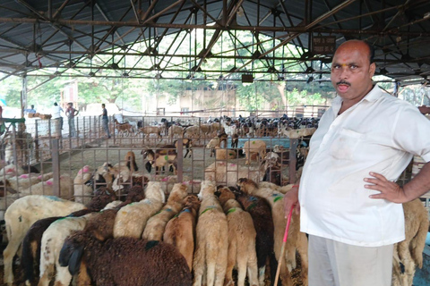 Bombay: Visita guiada al Matadero de Deonar