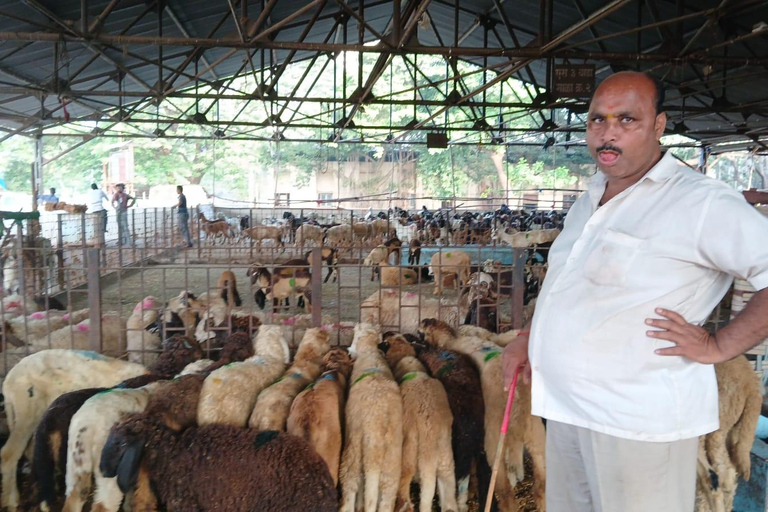 Bombay: Visita guiada al Matadero de Deonar