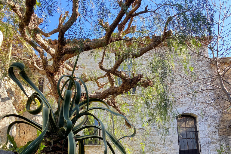 Nice: Fragonard Perfume Factory & Èze Village Private Tour