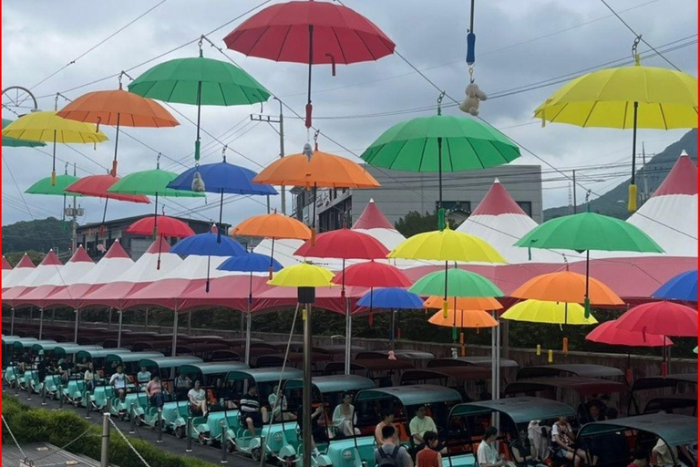 A partir de Seul: Begonia Bird Park, Rail Bike e Garden TourDongdaemun, 9h