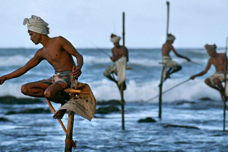 Galle Dutch Fort, Sea Turtle, River Safari & Beach Day Trip