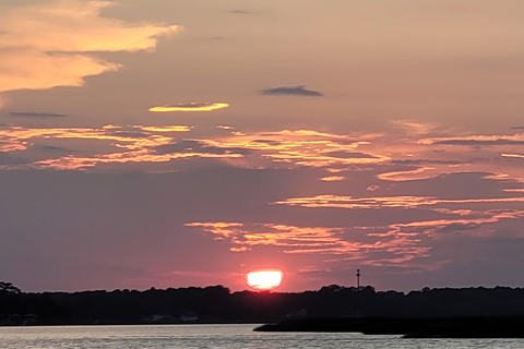 Savannah River Marsh : votre croisière inoubliable !