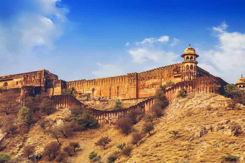 Ranthambore, Sariska &amp; Jaipur: A 3-Day Escape from DelhiAll-Inclusive tour