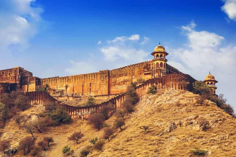 Ranthambore, Sariska &amp; Jaipur: A 3-Day Escape from DelhiAll-Inclusive tour