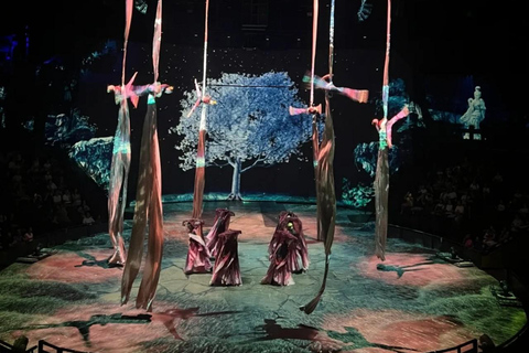 Shanghai ERA2 – Intersection of Time Acrobatic Show Ticket Blue Zone