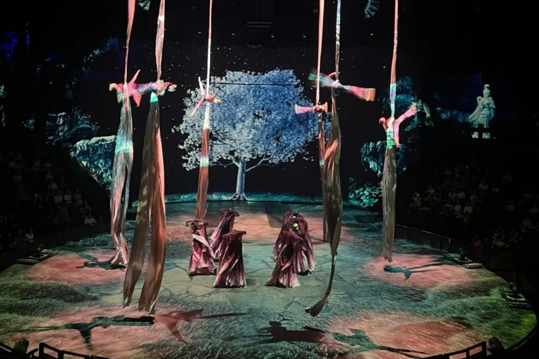 Shanghai ERA2 – Intersection of Time Acrobatic Show Ticket Blue Zone