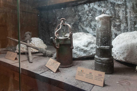 Brasov: Turda Salt Mine & Sighisoara Guided Tour