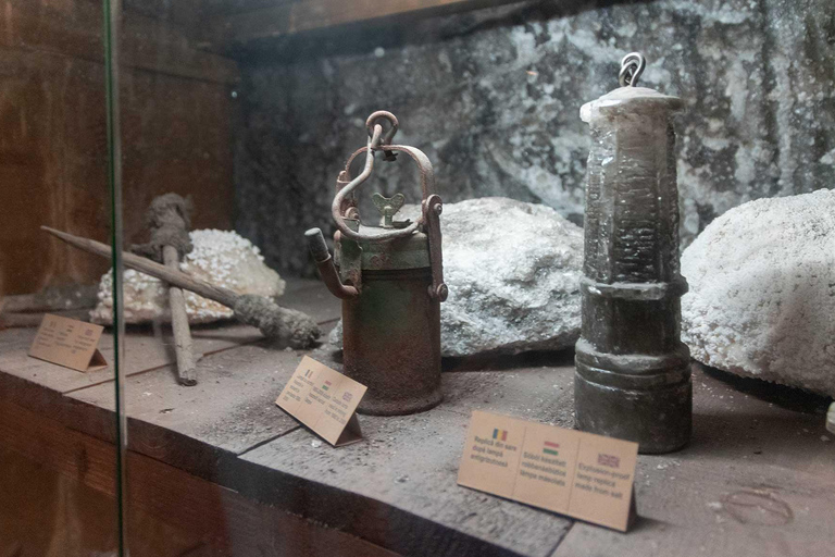 Brasov: Turda Salt Mine & Sighisoara Guided Tour