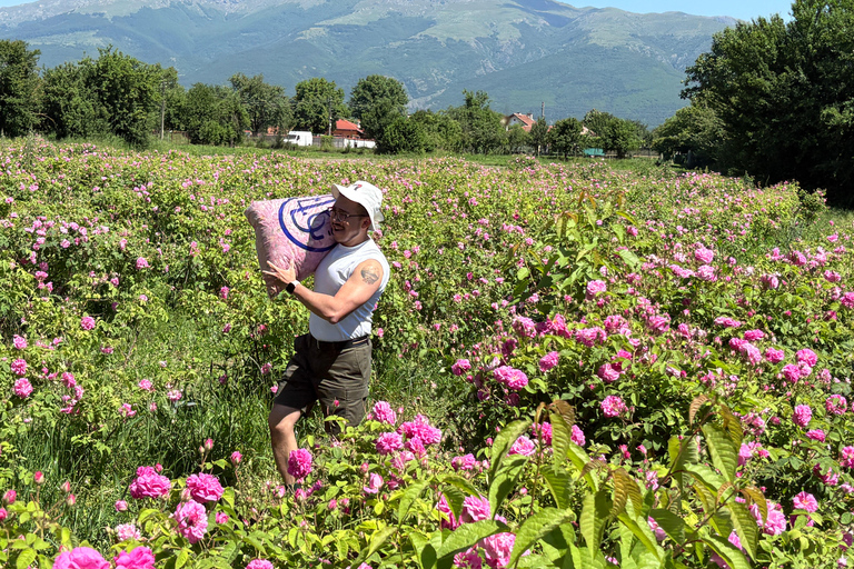 From Plovdiv: Rose Valley & Thracian Kings’ Tombs Day Trip