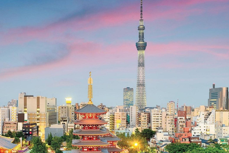 Tokyo City Tour: Private Full-Day Tour with Hotel Pickup Comfortable, air-conditioned Vellfire for 1–6 guests-8- Hour