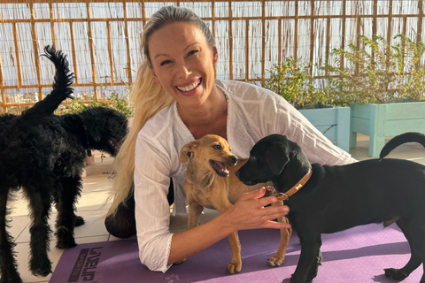 帕福斯（佩亚）：与救援小狗一起练习正念瑜伽