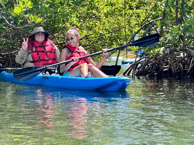 Miami: Paddle Board or Kayak Rental in Virginia Key