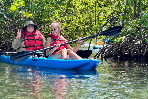 Miami: Paddle Board or Kayak Rental in Virginia Key Miami: Tandem Kayak Rental in Virginia Key
