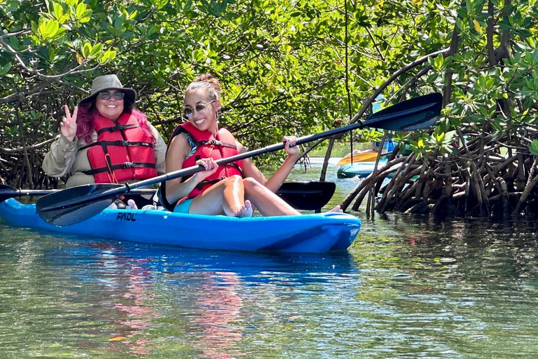 Miami: Noleggio di tavole da paddle o kayak a Virginia KeyMiami: Noleggio di kayak in tandem a Virginia Key