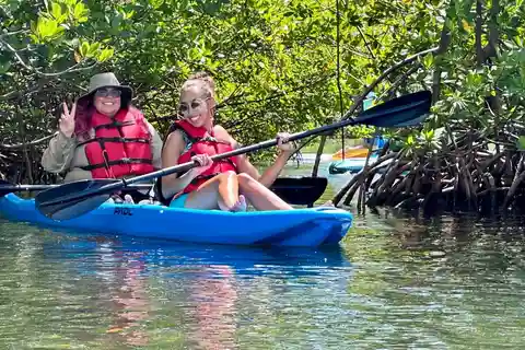 Miami: Aluguel de paddle board ou caiaque em Virginia Key