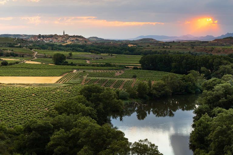 Bilbao: Rioja Wine Region Private Day Tour