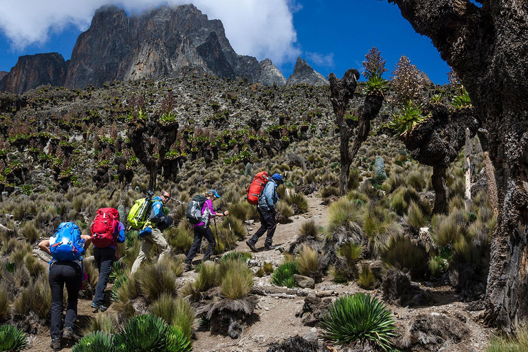 Monte Kenya: Tour di un giorno a piedi da Nairobi