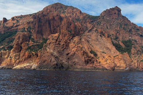 Porto: Tour of the Scandola Nature Reserve and the Calanche de Piana