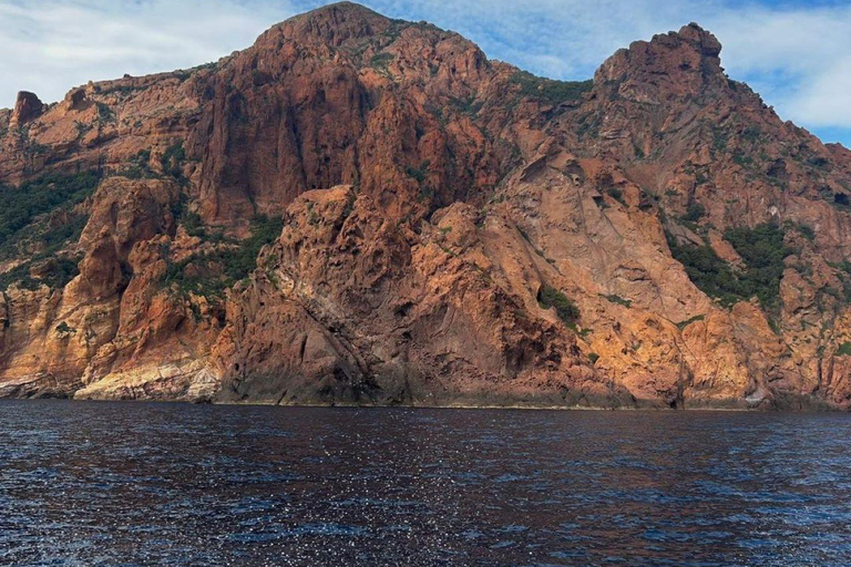 Porto: Tour of the Scandola Nature Reserve and the Calanche de Piana